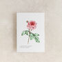 Rose Floral Watercolour Greetings Card, thumbnail 2 of 2