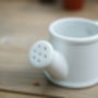 Watering Can Shaped Mini Planter, thumbnail 4 of 6