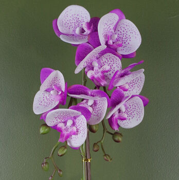 Purple White Orchid Artificial 50cm Gold Pot Real Touch, 4 of 4