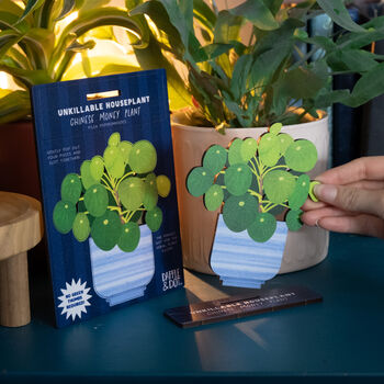 Chinese Money Plant Unkillable Houseplant Pop Out Card, 2 of 4