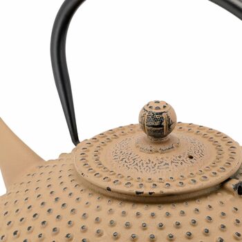 Xilin Cast Iron Teapot 1250ml Enamel Inner With Filter, 3 of 9