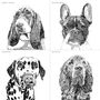 Set Of Four Dog Portrait Prints, thumbnail 6 of 12