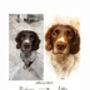 Personalised Pet Illustration Portrait Print, thumbnail 8 of 11