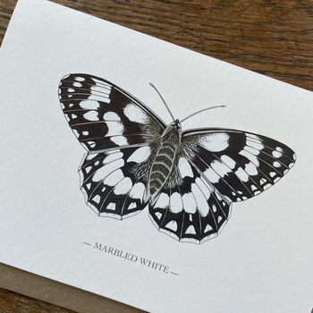 Illustrated Marbled White Butterfly Card Blank Inside, 2 of 6