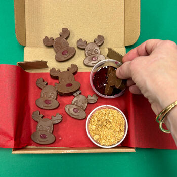 Feed The Reindeer Kit, 4 of 4