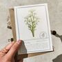 Botanical Wildflowers Postcards Gift Set, thumbnail 10 of 10