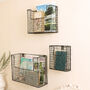 Set Of Three Wall Mounted Black Wire Storage Baskets, thumbnail 1 of 6