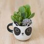 Panda Mug With Choices Of Plants, thumbnail 1 of 3