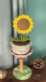 Crochet Pot Flowers Best Gift For Every Occasions, 8 of 12