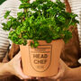 Personalised Daddy And Me Plant Pots, thumbnail 3 of 3