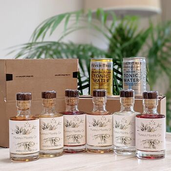 Personalised Gin And Tonic Subscription, 6 of 7