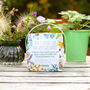 Grow Your Own Wildflower Bouquet And Vase Gift Set, thumbnail 9 of 12