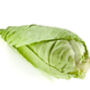 Vegetable Cabbage 'Hispi' 18 X Plug Plant Pack, thumbnail 1 of 5
