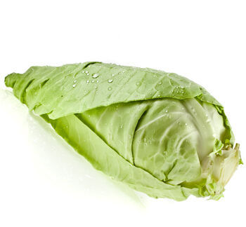 Vegetable Cabbage 'Hispi' 12x Plant Pack, 5 of 5