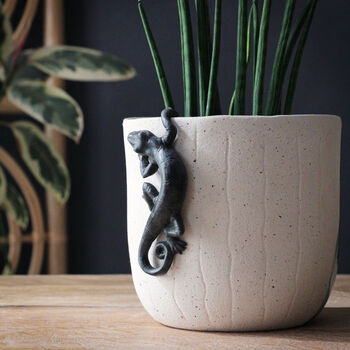 Gecko Pot Hanger, 2 of 5