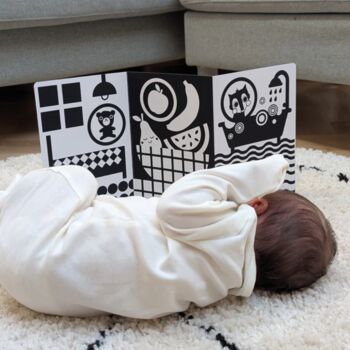 Story Shuffle: Newborn Sensory, 2 of 5