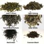 Artisan Tea Explorer Collection, thumbnail 6 of 11