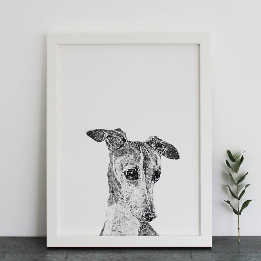 greyhound print by ros shiers | notonthehighstreet.com