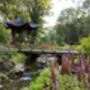 Visit Rhs Garden Bridgewater Day: A Garden Lover's Paradise. For Two, thumbnail 4 of 11