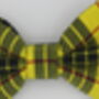 Yellow Check Dog Bow Tie, thumbnail 2 of 5
