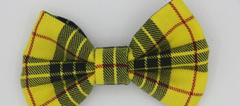 Yellow Check Dog Bow Tie, 2 of 5