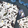 Coastal Birds Of Britain Wrapping Paper Set, thumbnail 4 of 9