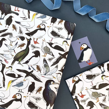 Coastal Birds Of Britain Wrapping Paper Set, 4 of 9