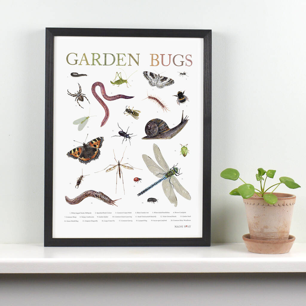 Garden Bugs Illustrated Print, 1 of 2