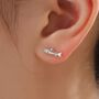 Trout Fish Stud Earrings In Sterling Silver, thumbnail 1 of 12