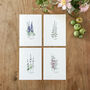 Cottage Garden Flowers Hand Illustrated Postcard Set, thumbnail 4 of 7