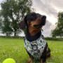 Dog Harness | Tennis | Wimbledon Theme, thumbnail 8 of 8