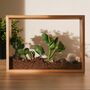 Vertical Garden Diy Kit, thumbnail 3 of 4