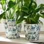 Set Of Two Teal Floral Plant Pots, thumbnail 1 of 5