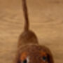 Needle Felted Handmade Tiny Dachshund/Long Haired/Black And Tan/Red/Chocolate And Tan, thumbnail 9 of 9