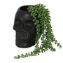 Black Skull Plant Pot, thumbnail 1 of 4