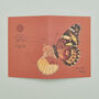 Set Of Four Greeting Cards Of British Insects, thumbnail 6 of 10