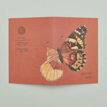 Set Of Four Greeting Cards Of British Insects, 6 of 10