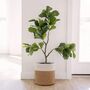 Pack Of Two Jute Rope Plant Basket Indoor Planters, thumbnail 3 of 8