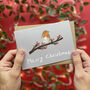 Robin Christmas Cards, thumbnail 2 of 5