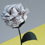 Wuthering Heights Emily Brontë Paper Origami Rose, thumbnail 4 of 7