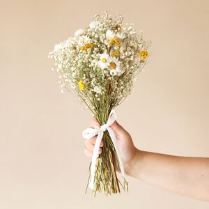 Dried flowers | Flowers | NOTHS