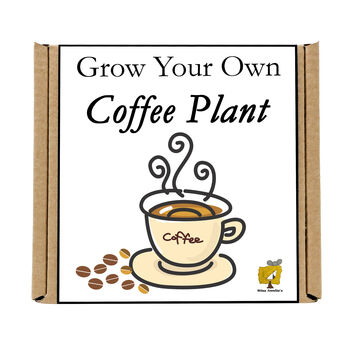 Gardening Gift For Her Him. Grow Your Own Coffee Plant, 4 of 4
