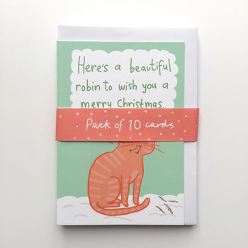 'Cat And Beautiful Robin' Christmas Card, 2 of 3