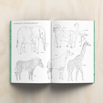 The Natural History Colouring Book, 9 of 11