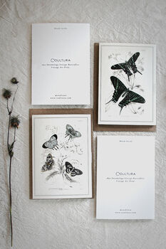 Set Of Four Butterfly Cards – Vintage Illustration Mix, 4 of 12