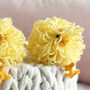 Three Little Chicks Crochet Kit, thumbnail 6 of 6