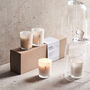 Frozen Meadow Scented Advent Candles, thumbnail 1 of 6