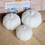 White Pumpkin And Sage 3pc Pumpkin Soap Bar Set, thumbnail 1 of 2