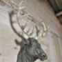 Wall Mountable Stag Head, thumbnail 3 of 4