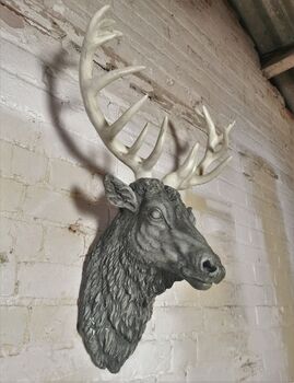Wall Mountable Stag Head, 3 of 4